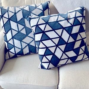 2 Throw Pillows
